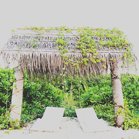 Infinity Dhiffushi Hotel Exterior photo